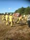 Ausbildungsdienst „Feuerwehrolympiade“