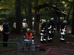 Leistungsbewertung Roter Hahn Stufe 2